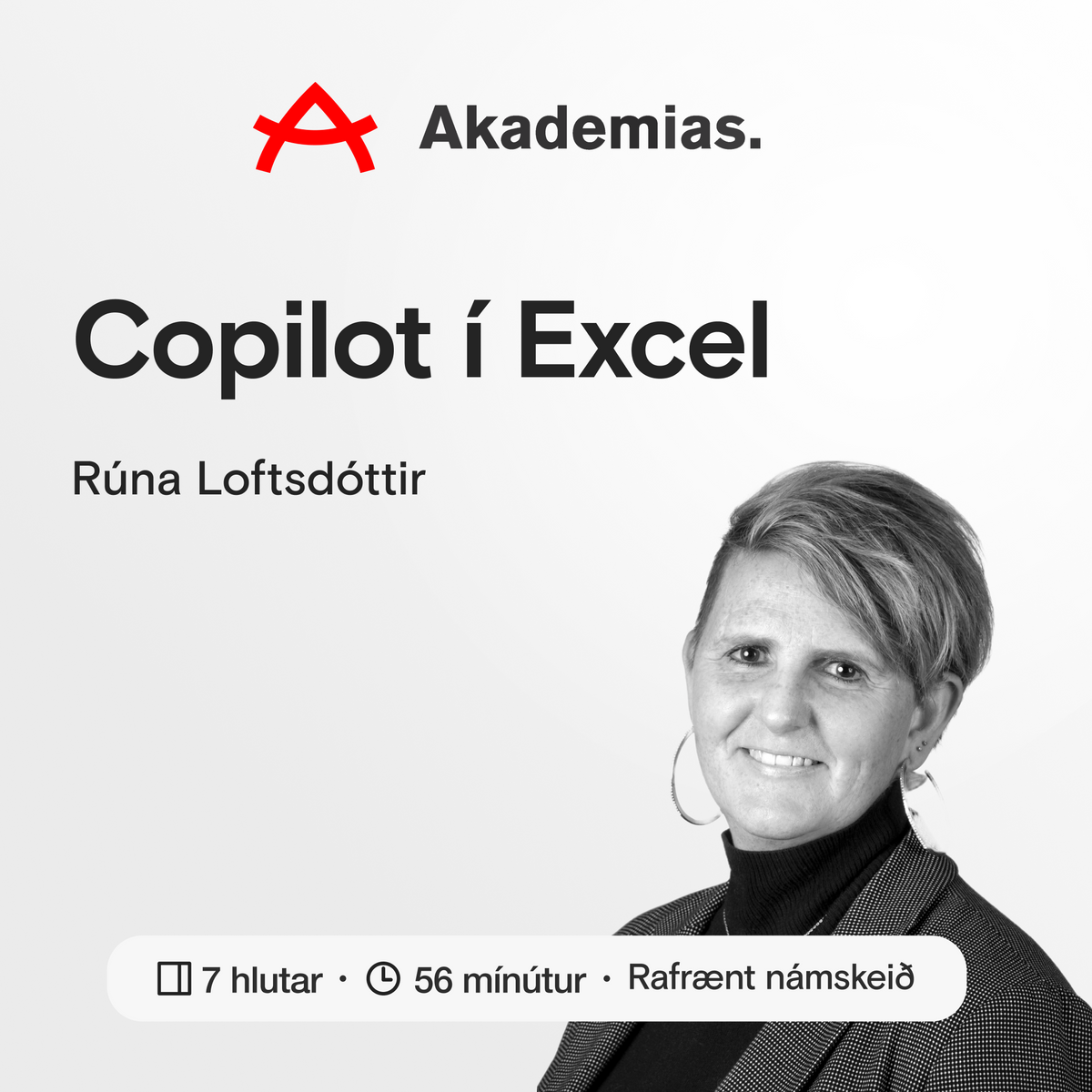 Copilot í Excel