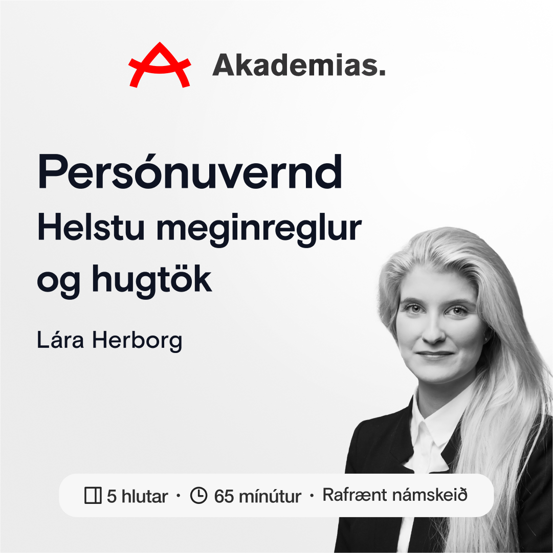 Persónuvernd - helstu meginreglur og hugtök
